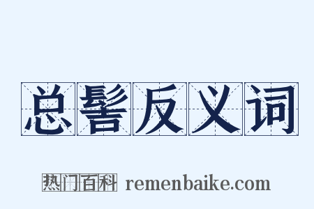 总髻反义词是什么意思的图片